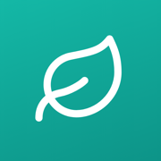 Pulse Local, a Mac budgeting app whose AI models run on your machine