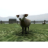 Crazy Cattle 3D